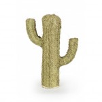 cactus-esparto